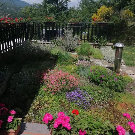 B&B Clara'S Garden Ponte della Venturina Екстериор снимка
