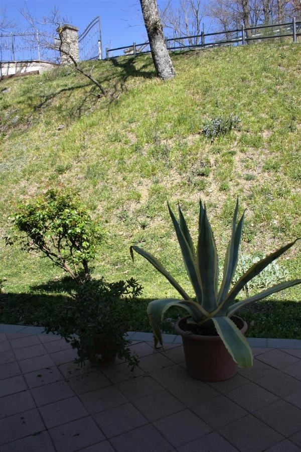 B&B Clara'S Garden Ponte della Venturina Екстериор снимка