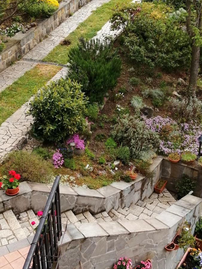 B&B Clara'S Garden Ponte della Venturina Екстериор снимка