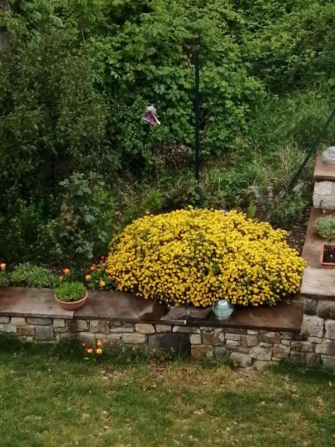 B&B Clara'S Garden Ponte della Venturina Екстериор снимка