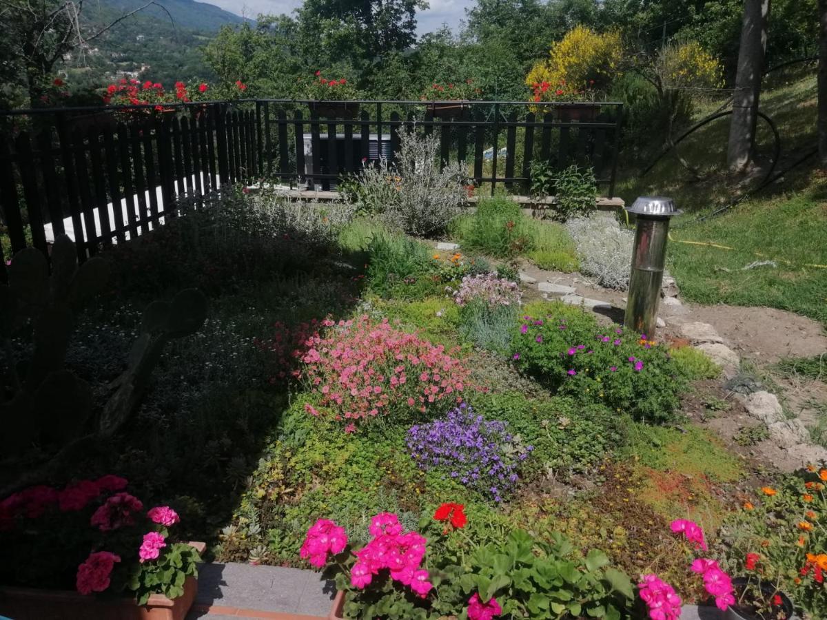 B&B Clara'S Garden Ponte della Venturina Екстериор снимка