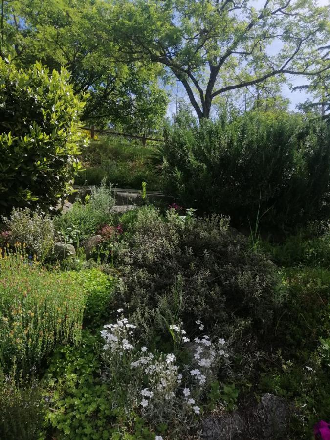 B&B Clara'S Garden Ponte della Venturina Екстериор снимка